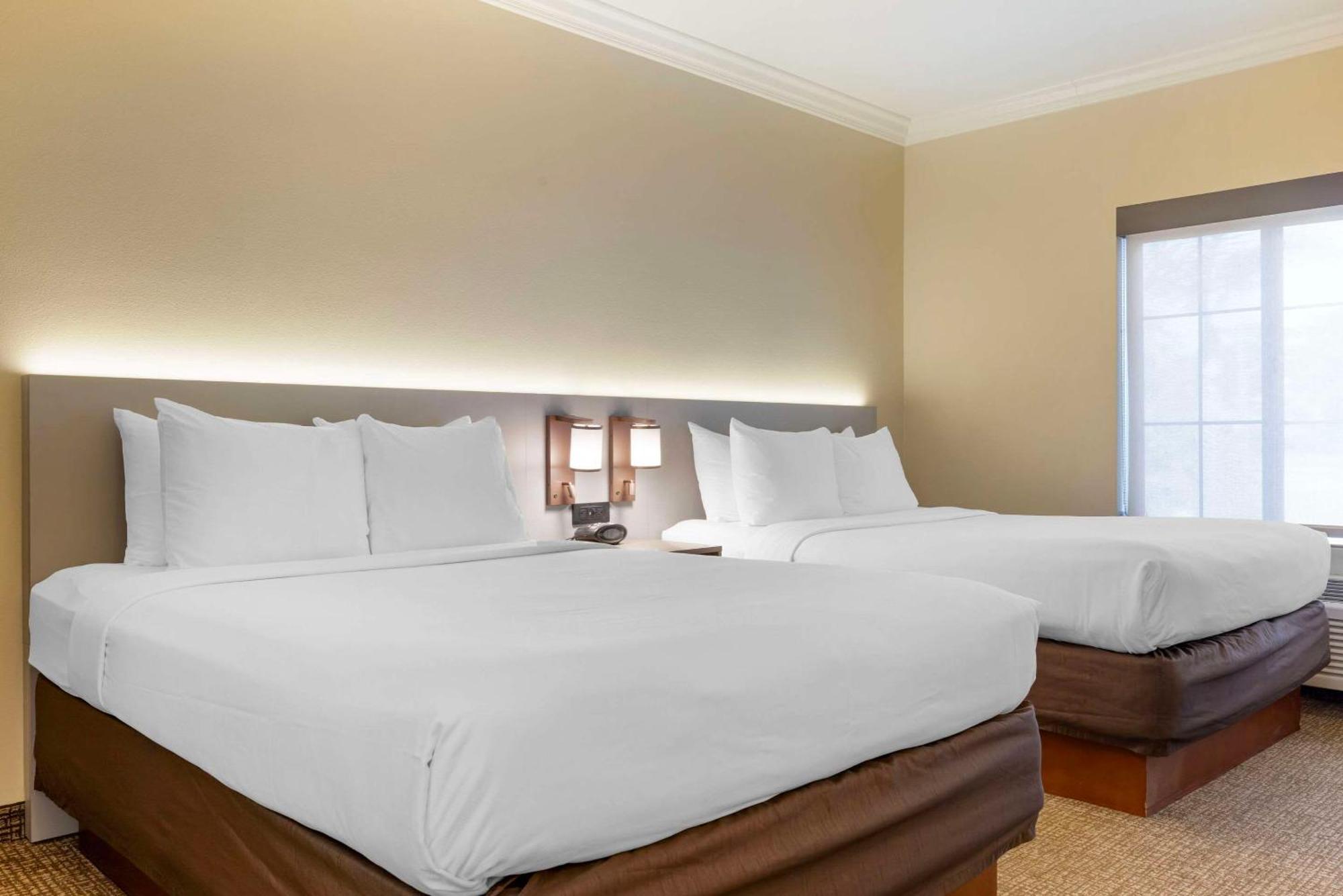 Comfort Suites Oceanside Camp Pendleton Area Dış mekan fotoğraf